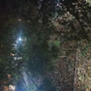 Meet your Posher, Radvin